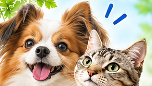 笑顔の犬と猫